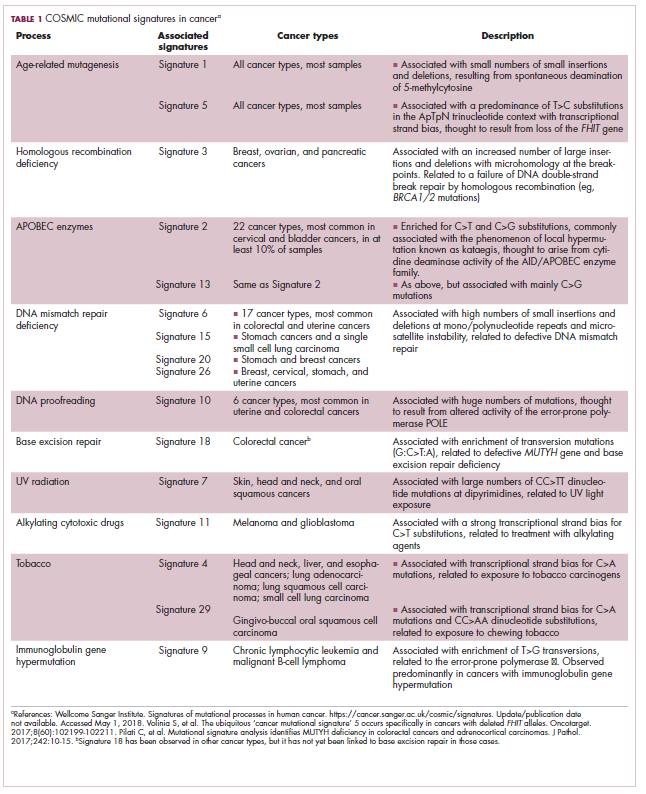 Tumor Heterogeneity A Central Foe In The War On Cancer Journal Of Clinical Outcomes Management 2933